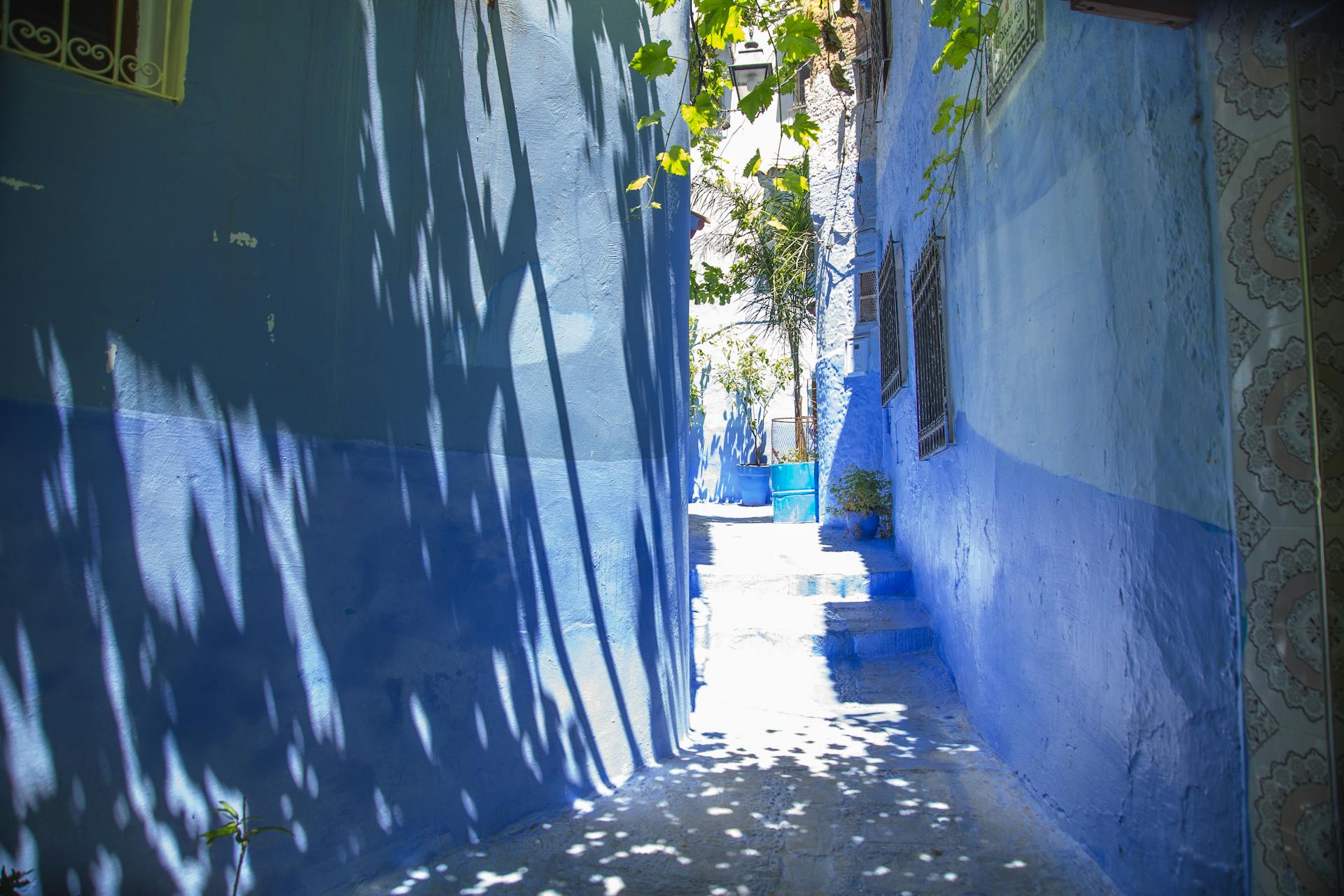 The Perfect 2 Day Chefchaouen Itinerary (2026)